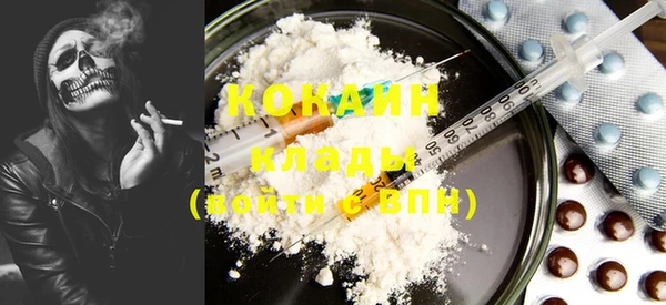 ГАЛЛЮЦИНОГЕННЫЕ ГРИБЫ Баксан