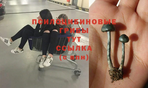 а пвп мука Беломорск